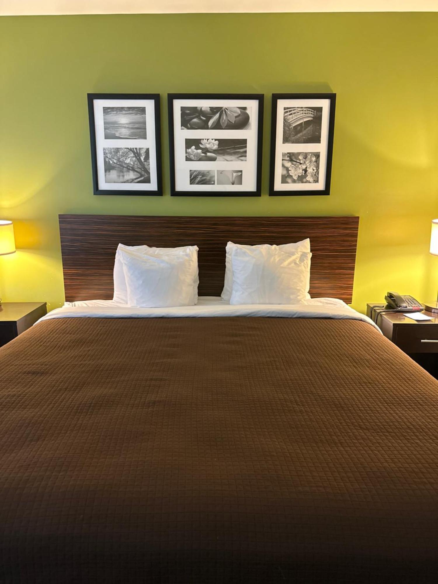 Sleep Inn & Suites גאלפורט מראה חיצוני תמונה